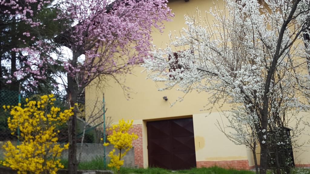 Allevamento B&B Pozzol Groppo Buitenkant foto