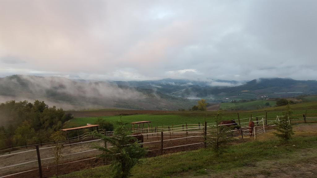 Allevamento B&B Pozzol Groppo Buitenkant foto