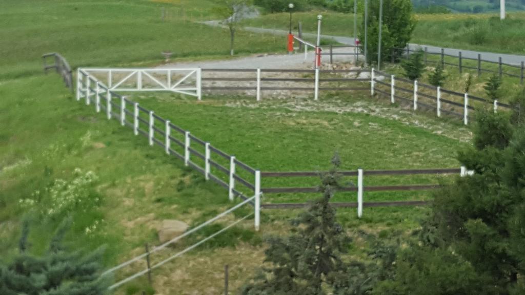 Allevamento B&B Pozzol Groppo Buitenkant foto